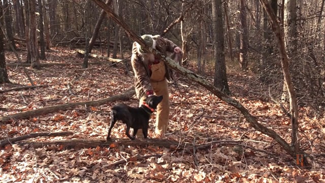 Stevens Family Outdoors - Squirrel Hunting with Scooby