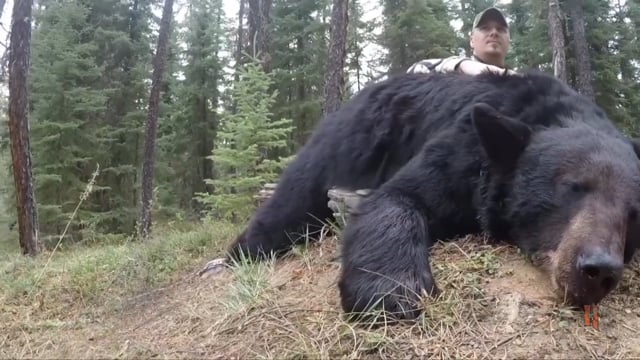 Keystone Wild Outdoors - Un-Bear-Able