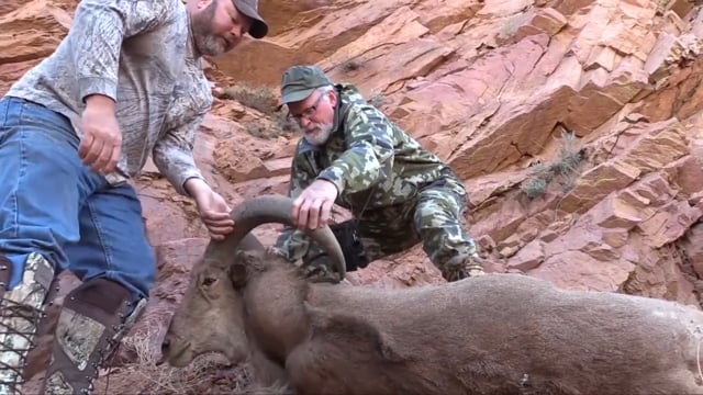 Spenst Outdoors - Oklahoma Free Range Aoudad