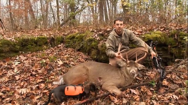 The Obsession TV - The Bucks Continue to Fall