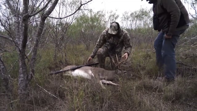 The Bearded Buck - A Fresh Start in the Lonestar