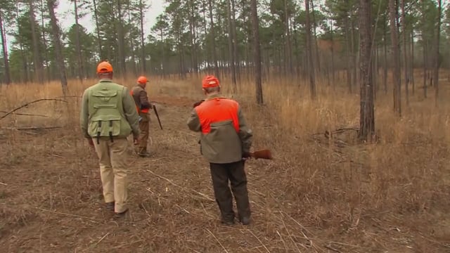 O'Neill Outside - Buchanan Shoals