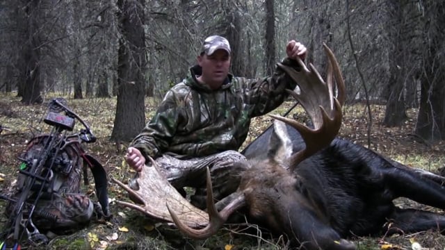 Spenst Outdoors - British Columbia Moose & Caribou Part 1