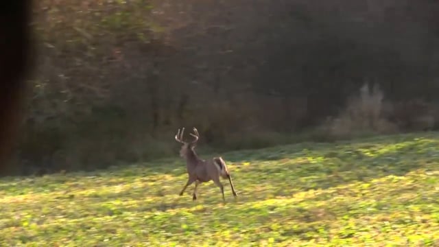 Real South Hunting - Illinois Extreme