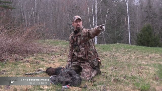 Horn Stars Outdoors - Granite State Gobblers