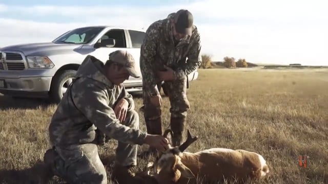 The Bearded Buck - Nebraska Speed Goats