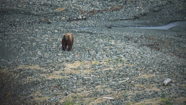 Boundless Webisodes - The Aleutian Peninsula Part 1