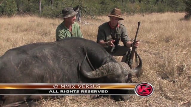 Safari Hunter’s Journal - Buffalo Bonanza