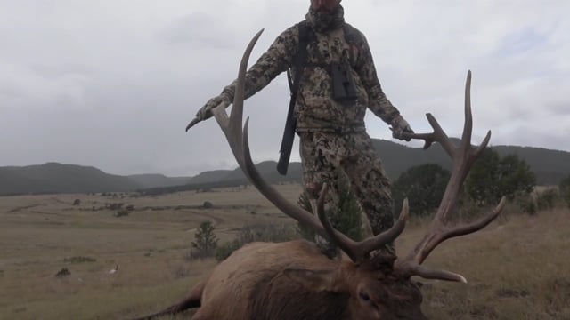 Chasin Creation - The Epic Elk