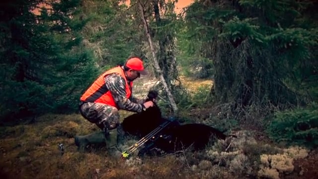 Whitetail Journey - Canadian Black Bear Pt. 1