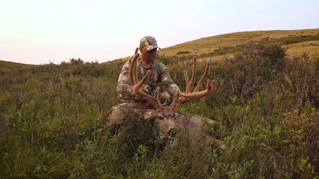 The Virtue - S3 - Velvet Mule Deer
