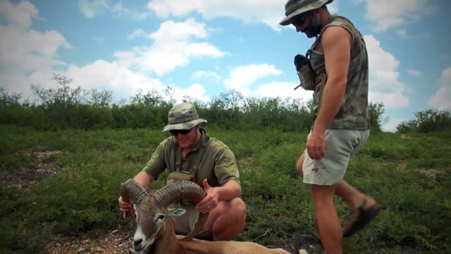 Boundless Webisodes - Exotic Texas