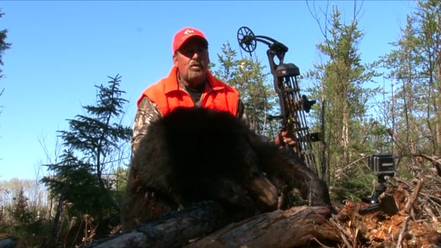 Whitetail Journey - Canadian Black Bear Pt. 1