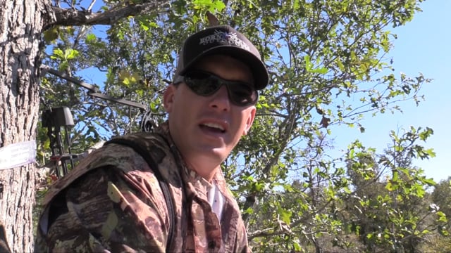 Horn Stars Outdoors - Pork Chops