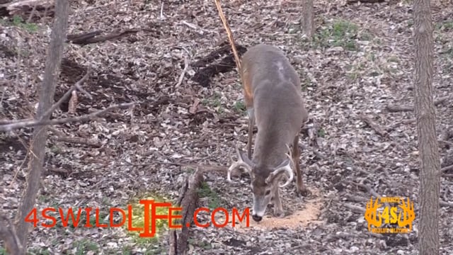 Dirt Road Outdoors TV - Mission Accomplished
