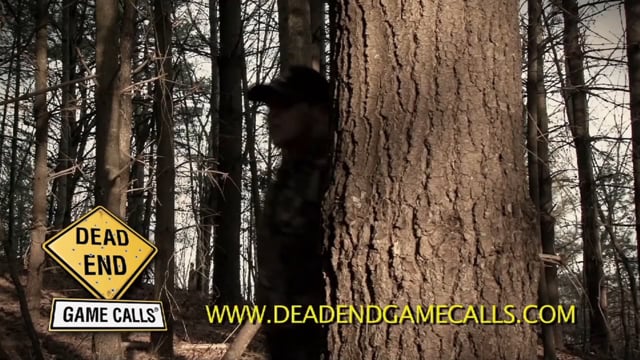 Chasin Creation - Tagged Out V7 Style