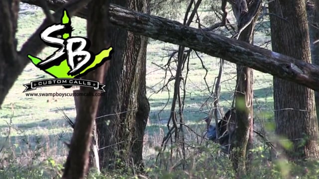 Bible Belt Outdoors - Reelfoot Duckmasters