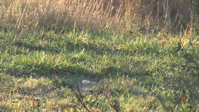 Grace Camo & Lace - Rattling in the Rut