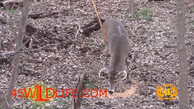 Dirt Road Outdoors TV - NWTF'S 2018 Top Guns