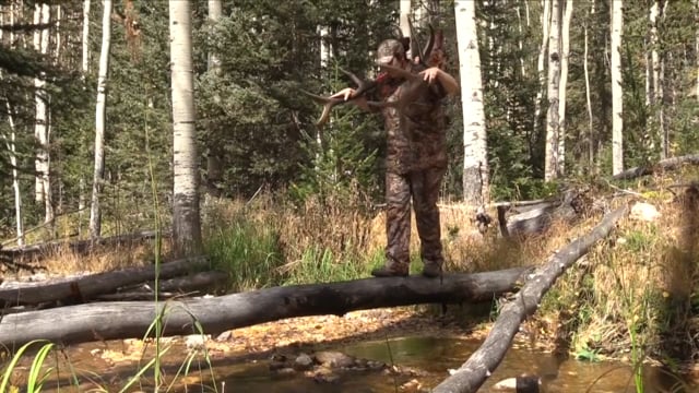 Horn Stars Outdoors - Management State of Mind
