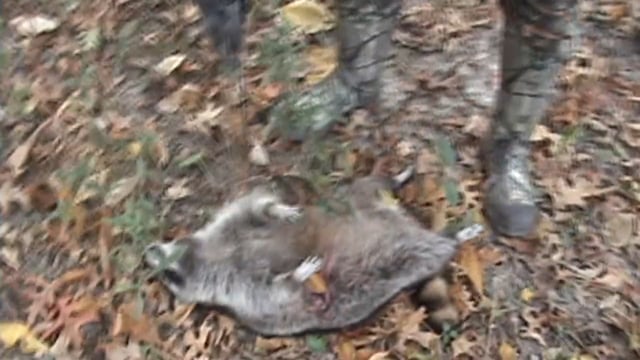 Called To Hunt - Redemption
