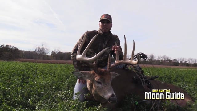 Whitetail Edge - Cold Snap