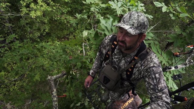 The Bearded Buck - Kentucky Velvet