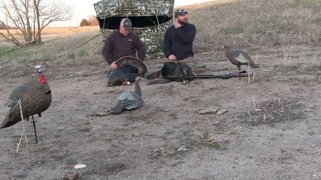 The Obsession TV - Battling the Birds