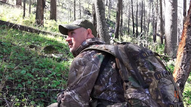 Respect The Game - Big Horn Elk