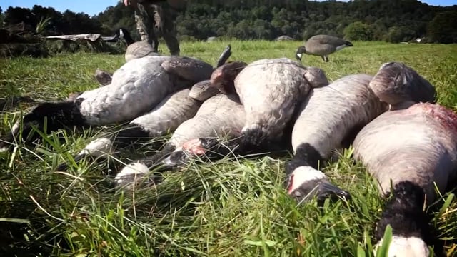 Outdoor Junkies TV - WI River Walleys