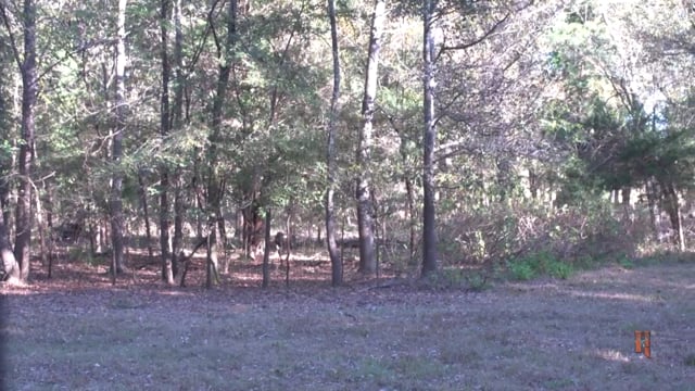 Double Lung TV - Bowhunting the Ford Family Ranch