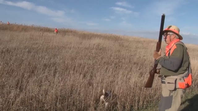 Wingshooting USA - Iowa's Birds are Back