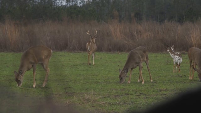 Smacked TV's Southwind Hunting Adventures - Hunting with Preacher