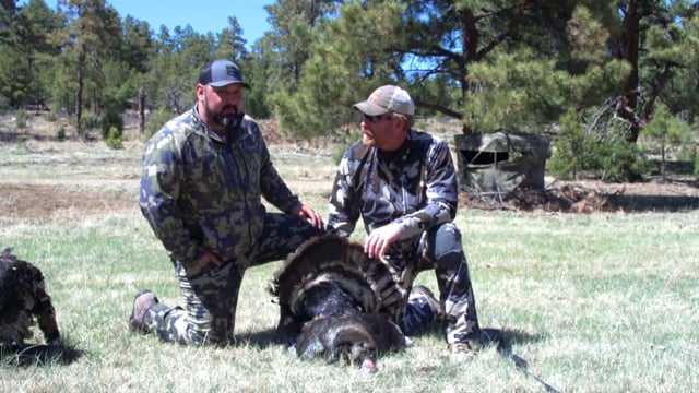 Double Lung TV - Colorado Merriam Turkey