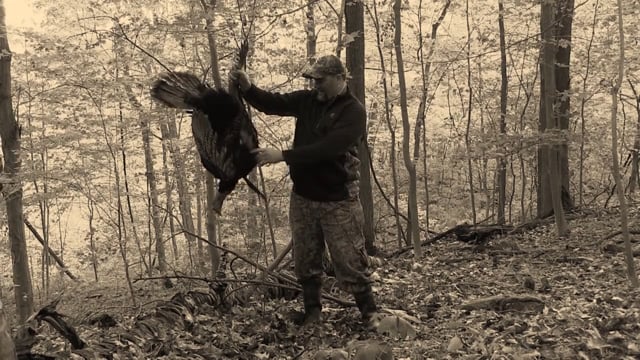 Mountain Lodge Outdoors - Turkey Talkin