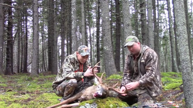 Wild Maine Outdoors - Big Maine buck with bow
