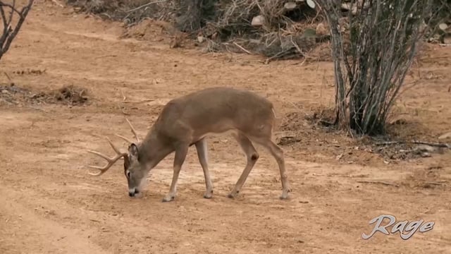 Uncle Bucky's Outdoor Adventures - Season Recap & New Show Reveal