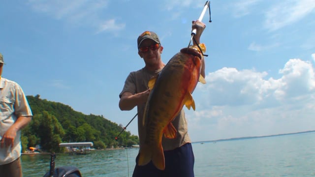 Uncle Bucky's Outdoor Adventures - Bow Fishing Fun and Food Plot Part 3