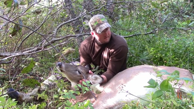 Wild Maine Outdoors - Three for One