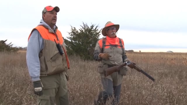 Wingshooting USA - Serendipity Shorthairs