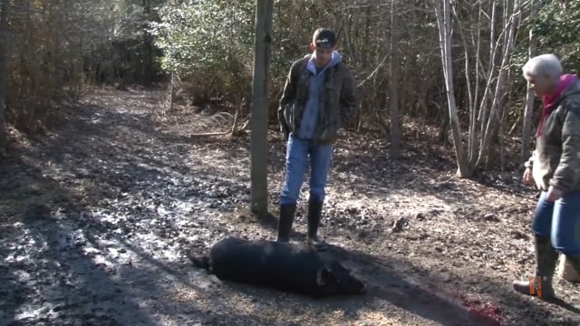 Soul Hunters - Lisa & Company  gettin' the bacon
