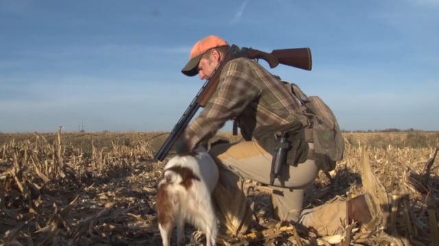 Wingshooting USA - Parlez-vous Epagneul