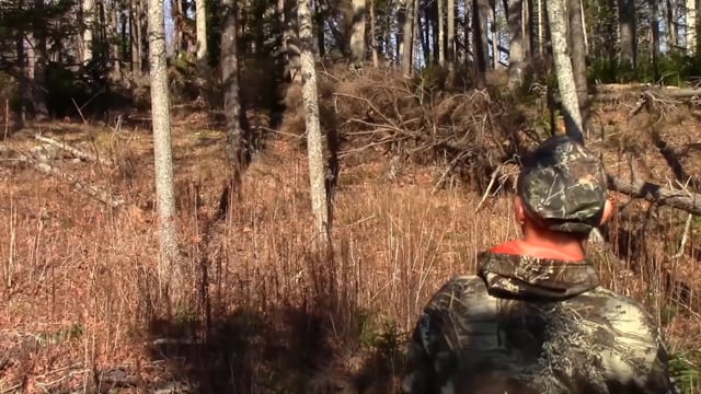 Wild Maine Outdoors - Deer Hunting Tactics for Turkey