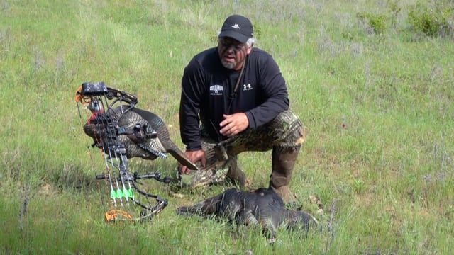 Edge of The Wild - Texas Turkey