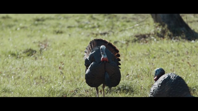 Undivided Outdoors - Better Plans
