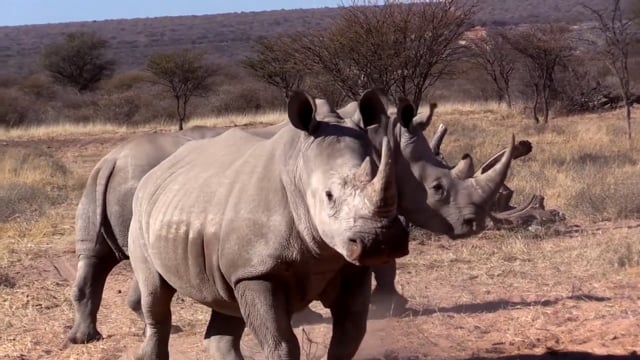 Giving Back - Namibia Pt. 1