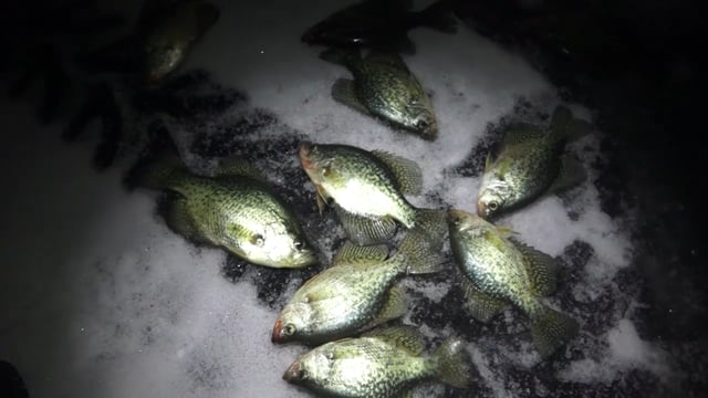 Outdoor Junkies TV - Ice Fishing Blackhawk Lake Pt. 1