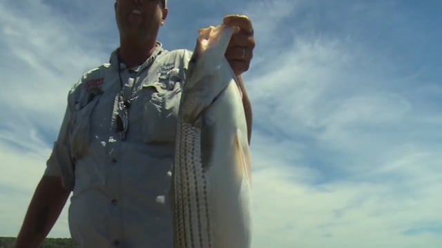 Jimmy Houston Outdoors - Fishing with Chris Carey