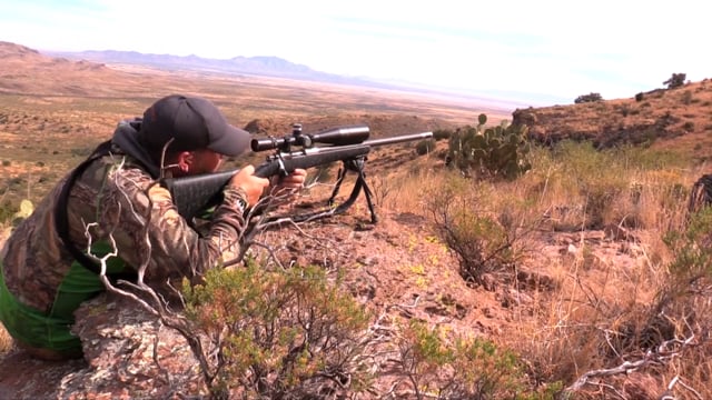 Giving Back - Arizona Coues Deer