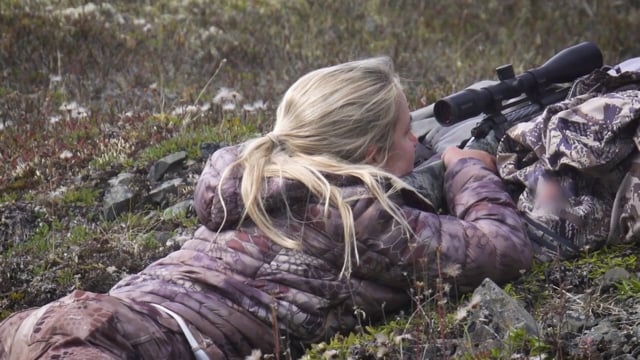 Adventures Enabled - Alaskan Dall Sheep Part 1